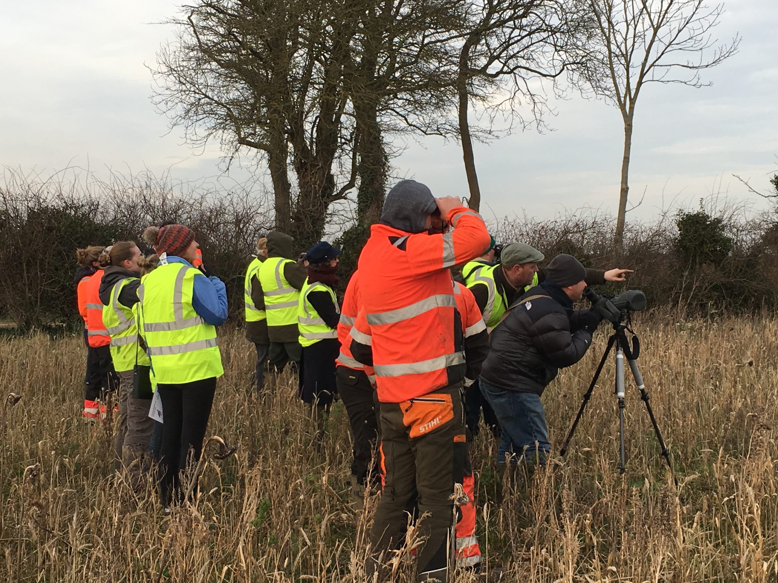 Thumbnail for the post titled: BFBC off to a great start at Beeswax Dyson Farms in Lincolnshire