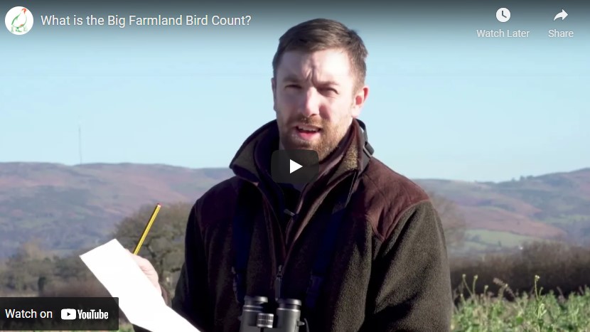 Thumbnail for the post titled: FUW joins forces with GWCT Wales for the Big Farmland Bird Count