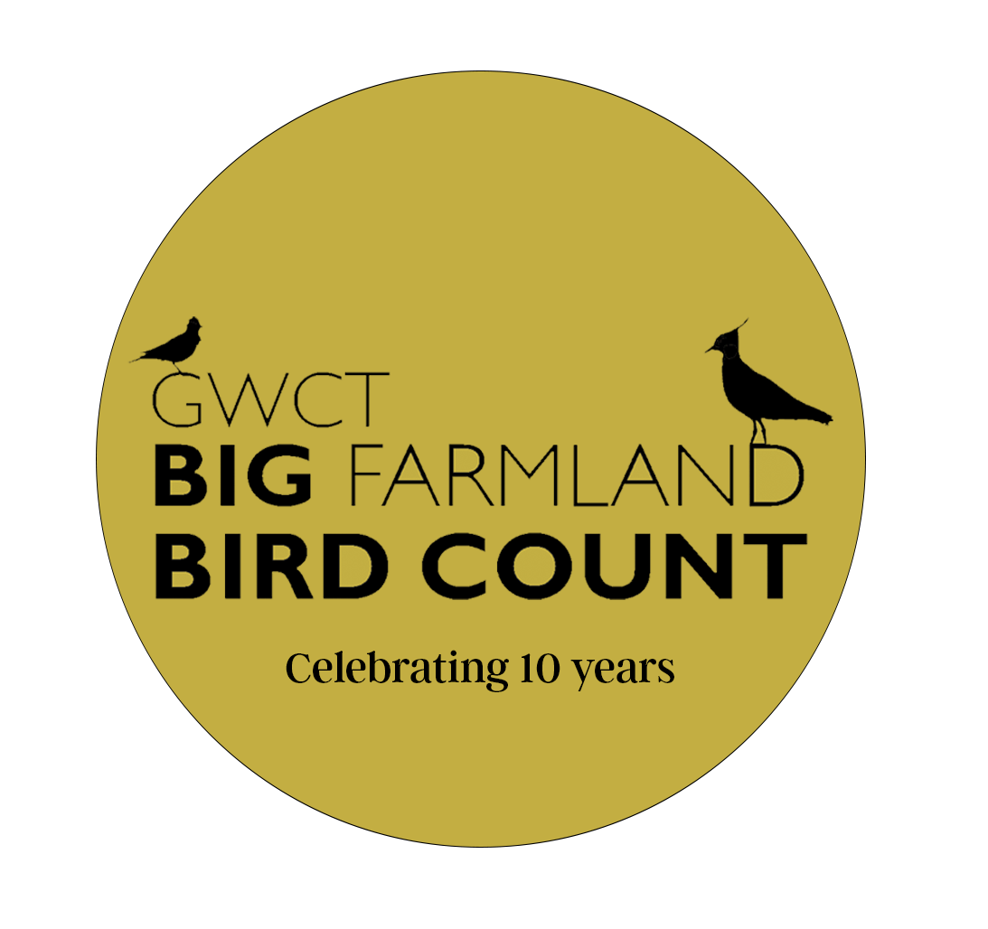 Thumbnail for the post titled: Let’s “shout about all the good work done on farms”, says GWCT Big Farmland Bird Count founder