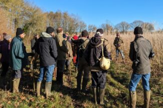 Thumbnail for the post titled: Farmland Bird Day 2024 in North Essex